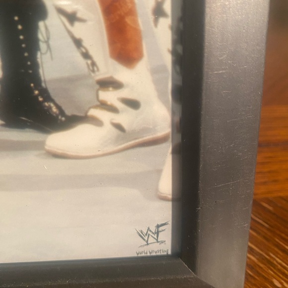 Original WWF D-Generation X Framed Photo 8”x 10” - Picture 4 of 6